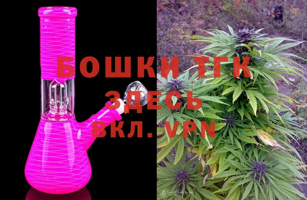 PSILOCYBIN Белокуриха