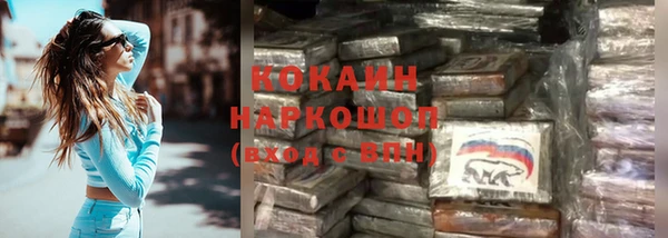 PSILOCYBIN Белокуриха