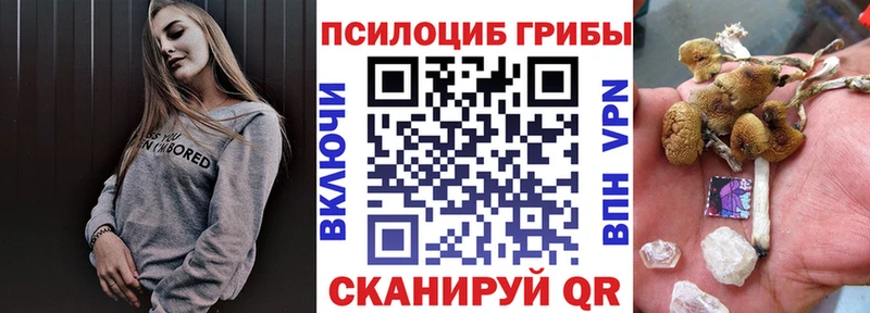 Псилоцибиновые грибы GOLDEN TEACHER  darknet состав  Верхоянск 